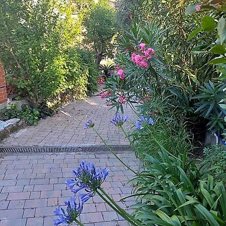 Riviera Garden 3*